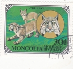 Stamps Mongolia -  LINCE BOREAL