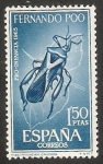 Stamps Equatorial Guinea -  Fernando Poo - 244 - Plectroc nemia cruciata