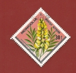Stamps Mongolia -  Flora de Mongolia - Flores - Sophora Alopecuroides
