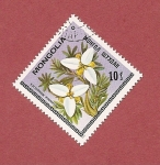 Stamps : Asia : Mongolia :  Flora de Mongolia - Flores - Potaninia Mongolica