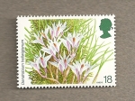 Stamps United Kingdom -  Orquideas
