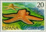 Stamps Spain -  FAUNA INVERTEBRADOS ESTRELLA DE MAR