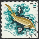 Stamps Russia -  4161 - Fauna marina, Exposición internacional en Okinawa, Oceanexpo 75