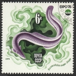 Stamps Russia -  4163 - Oceanexpo 75, exposicion internacional en Okinawa, anguilla