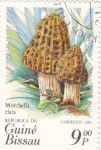 Stamps Guinea Bissau -  Setas