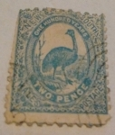 Sellos de Oceania - Australia -  EMU