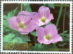 Stamps Japan -  Scott#3041f Intercambio 1,10 usd 80 y. 2008