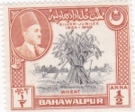 Stamps Pakistan -  Trigo-BAHAWALPUR