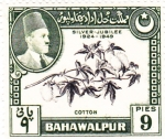 Sellos del Mundo : Asia : Pakistan : Algodón-BAHAWALPUR