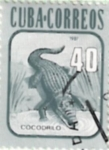 Stamps : America : Cuba :  cocodrillo