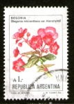 Stamps Argentina -  16 begonia 16