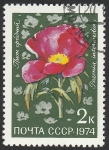 Stamps Russia -  4103 - flor paeonia intermedia