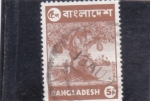 Stamps : Asia : Bangladesh :  Arbol frutal