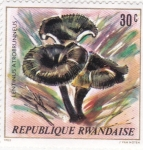 Stamps Rwanda -  Setas