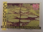 Stamps : America : Colombia :  Proteja la Amazonía 