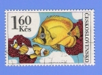 Sellos de Europa - Checoslovaquia -  peces exsoticos