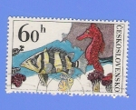 Stamps Czechoslovakia -  PECES EXSOTICOS
