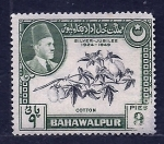 Stamps : Asia : Pakistan :  Planta de algodon