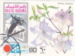 Stamps United Arab Emirates -  OLIMPIADA DE SAPPORO'72
