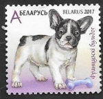 Sellos de Europa - Bielorrusia -  Perro de raza