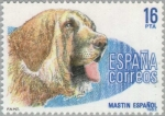 Stamps Spain -  PERROS DE RAZA ESPAÑOLA Mastín español