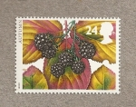 Stamps United Kingdom -  Frutos de otoño
