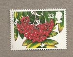 Stamps United Kingdom -  Frutos de otoño
