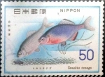 Stamps : Asia : Japan :  Scott#1262 m4b intercambio 0,20 usd 50 y. 1976