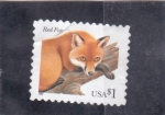 Stamps United States -  Zorr0 rojo