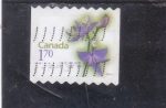 Stamps Canada -  Flor