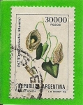 Sellos de America - Argentina -  flor