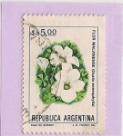 Stamps : America : Argentina :  Flor Malvinense