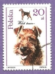 Stamps Poland -  RESERVADO