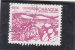 Sellos de America - Nicaragua -  reforma agraria
