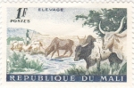 Stamps : Africa : Mali :  pastor y ganado