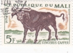 Stamps : Africa : Mali :  syncerus caffer