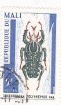 Stamps : Africa : Mali :  insecto