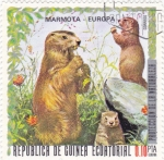 Stamps : Africa : Equatorial_Guinea :  marmota
