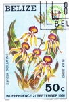 Stamps Belize -  Independencia 21 septiembre,81 Belize