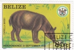 Stamps America - Belize -  Independencia 21 septiembre,81 Belize