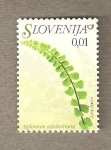 Stamps Slovenia -  Flora eslovena