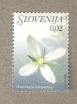 Sellos de Europa - Eslovenia -  Flora eslovena