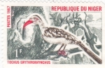 Stamps : Africa : Niger :  ave Tockus