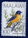 Stamps : Africa : Malawi :  pajaro  (starred ruben)