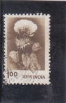 Stamps India -  ALGODON
