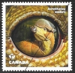 Stamps Canada -  3264 - Acrotholus audeti