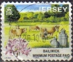 Sellos de Europa - Reino Unido -  JERSEY 1998 Scott 858 Sello Trabajos Tradicionales Ganaderia Vacas Leche Usado