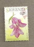 Stamps Europe - Slovenia -  Flora eslovena