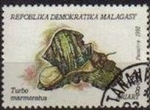 Stamps Madagascar -  MADAGASCAR 1992 Michel 1416 Sello Moluscos Turbo Marmoratus MALAGASY 8A