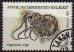 Sellos de Africa - Madagascar -  MADAGASCAR 1992 Michel 1418 Sello Moluscos Argonauta Argo MALAGASY 13A